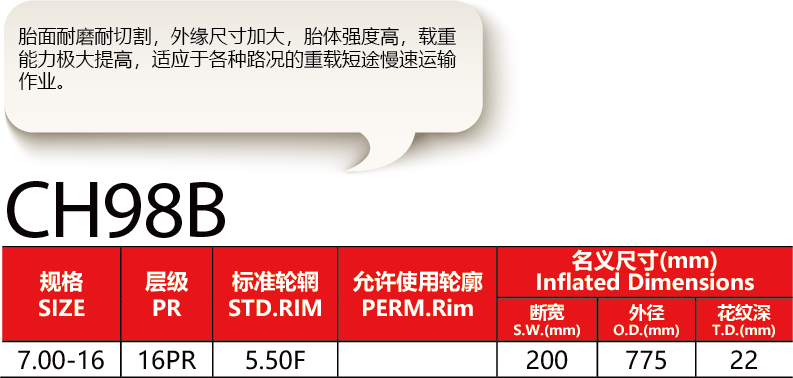 福建省邵武市正興武夷輪胎有限公司